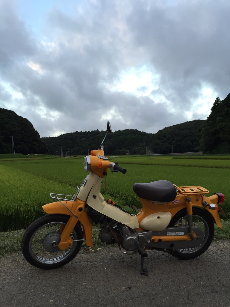 ホンダ スーパーカブ リトルカブの魅力 コッシのブログ Diy