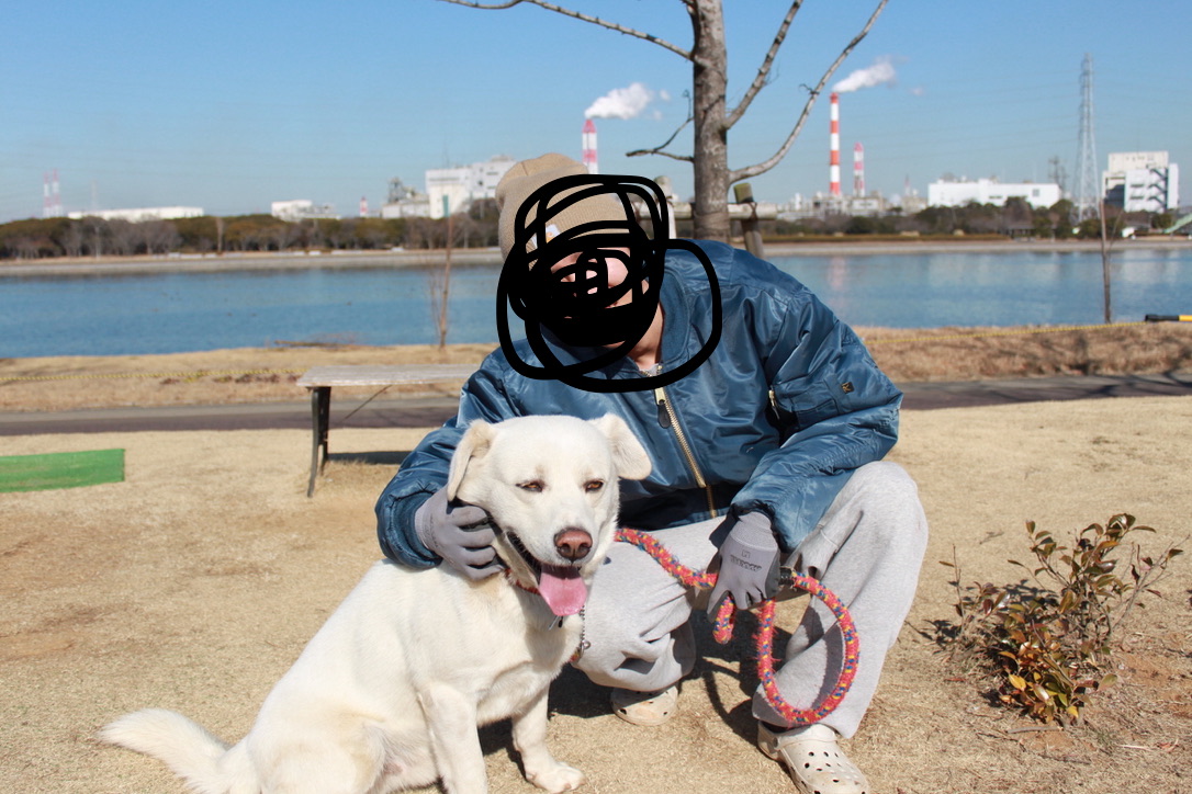 大型犬の魅力！！ コッシのブログ